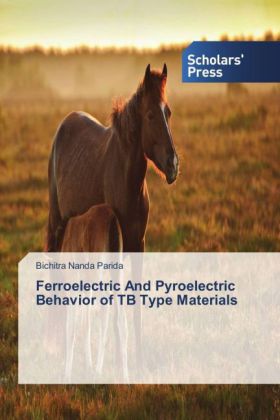 Ferroelectric And Pyroelectric Behavior of TB Type Materials