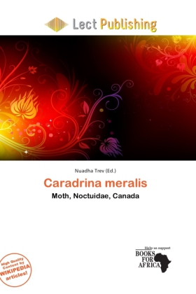 Caradrina meralis