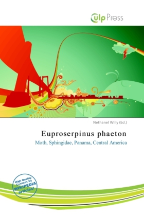 Euproserpinus phaeton