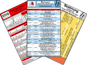 Notarzt Karten-Set - Notfallmedikamente Set,  Herzrhythmusstörungen, Beatmung - Leitfaden für Oxygenierungs-Störungen, EKG Auswertung / Skalen, 6 Medizinische Taschen-Karten