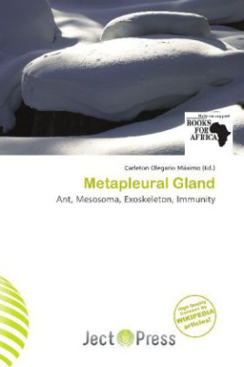 Metapleural Gland