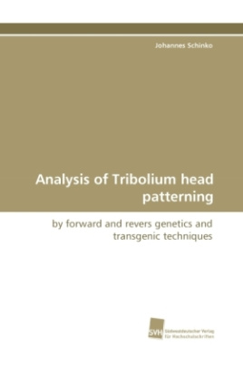 Analysis of Tribolium head patterning