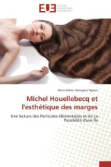 Michel Houellebecq et l'esthétique des marges