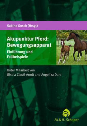 Akupunktur Pferd: Bewegungsapparat