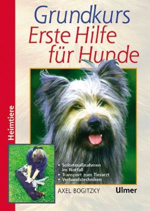 Grundkurs Erste Hilfe für den Hund