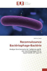 Reconnaissance Bactériophage-Bactérie