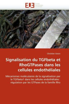 Signalisation du TGFbeta et RhoGTPases dans les cellules endothéliales