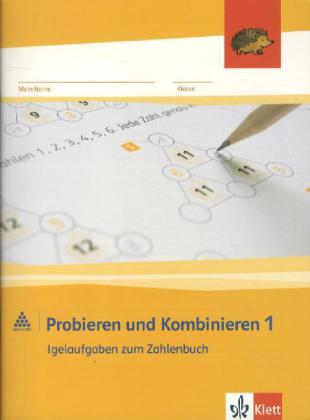 Probieren und Kombinieren, 1. Schuljahr