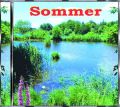 Sommer