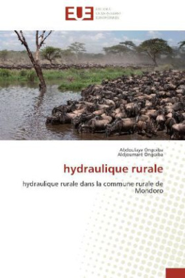 hydraulique rurale
