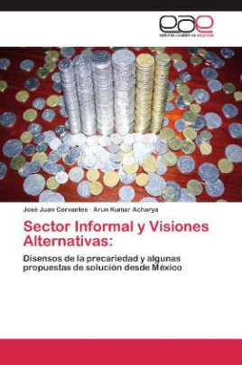 Sector Informal y Visiones Alternativas: