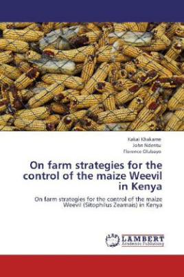 On farm strategies for the control of the maize Weevil in Kenya