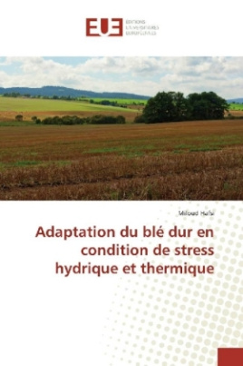 Adaptation du blé dur en condition de stress hydrique et thermique