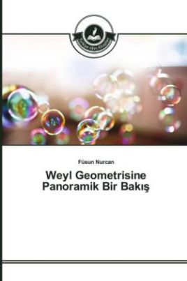 Weyl Geometrisine Panoramik Bir Bak_s