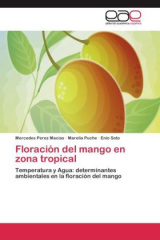 Floración del mango en zona tropical