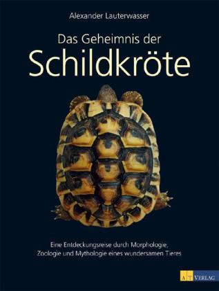 Das Geheimnis der Schildkröte