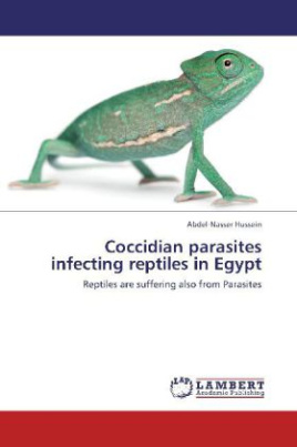 Coccidian parasites infecting reptiles in Egypt