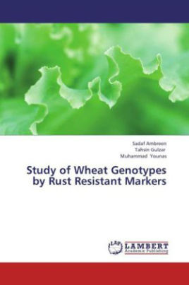 Study of Wheat Genotypes by Rust Resistant Markers