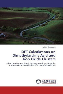 DFT Calculations on Dimethylarsinic Acid and Iron Oxide Clusters