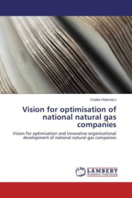 Vision for optimisation of national natural gas companies