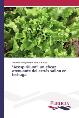 "Azospirillum": un eficaz atenuante del estrés salino en lechuga