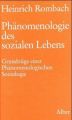 Phänomenologie des sozialen Lebens