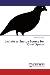 Lactate as Energy Source for Quail Sperm