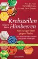 Krebszellen mögen keine Himbeeren