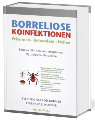 Borreliose Koinfektionen