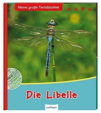 Meine große Tierbibliothek: Die Libelle