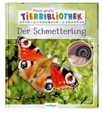 Meine große Tierbibliothek: Der Schmetterling