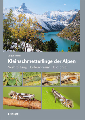 Kleinschmetterlinge der Alpen