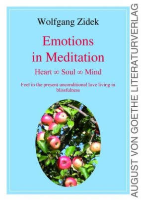 Emotions in Meditation