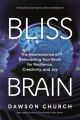 Bliss Brain