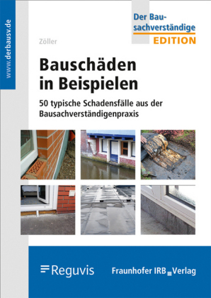 Bauschäden in Beispielen