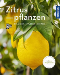 Zitruspflanzen