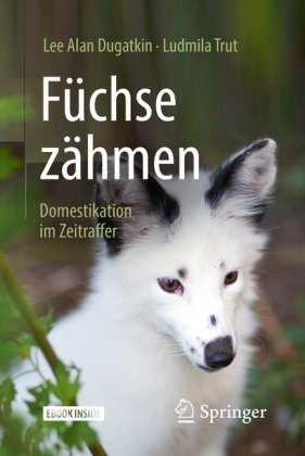 Füchse zähmen