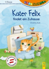 Kater Felix findet ein Zuhause