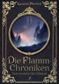 Die Flamm-Chroniken - Das Gesetz der Flamm