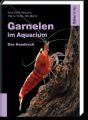 Garnelen im Aquarium