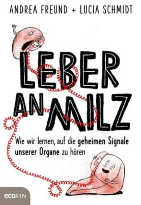 Leber an Milz