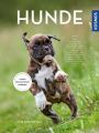 Hunde