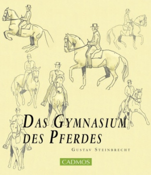 Das Gymnasium des Pferdes