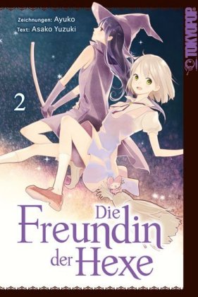 Die Freundin der Hexe. Bd.2