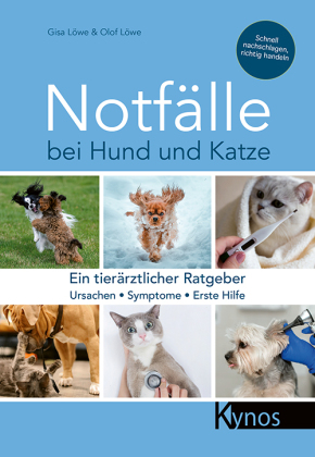 Notfälle bei Hund und Katze