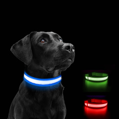  LED-Hundehalsband blau