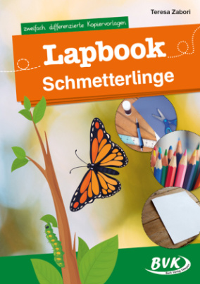 Lapbook Schmetterlinge