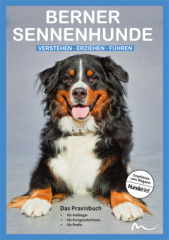 Berner Sennenhunde