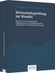 Wirtschaftsprüfung im Wandel