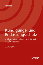 Kündigungs- und Entlassungsschutz